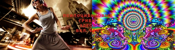 круглые Алексеевка