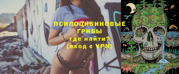 круглые Алексеевка