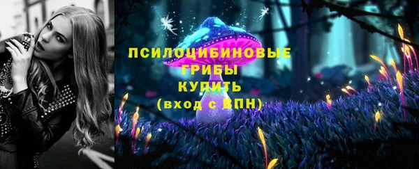 круглые Алексеевка